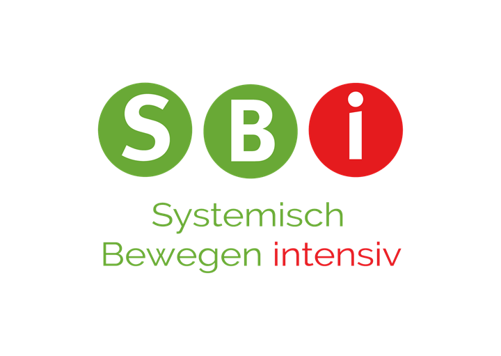 Sbi Systemisch Bewegen Intensiv